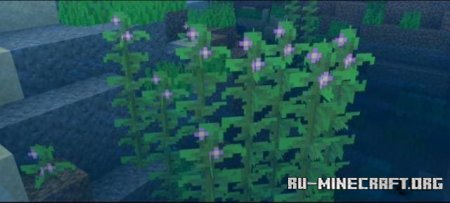     Minecraft PE 1.20