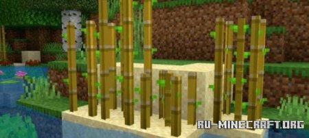    Minecraft PE 1.20