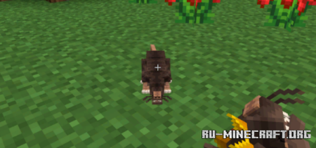 Скачать Крысиный король для Minecraft PE 1.20