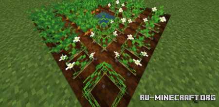     Adrikadh  Minecraft PE 1.17