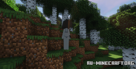 Скачать Wither Skeleton & Stray Girl для Minecraft 1.20