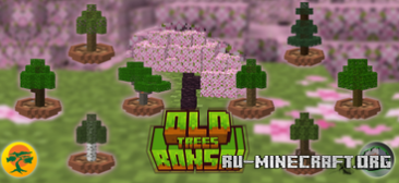      Minecraft PE 1.20