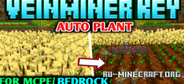  Veinminer  Minecraft PE 1.20