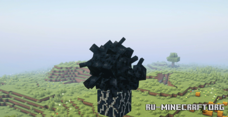  Withering Away: Reborn  Minecraft 1.20.1