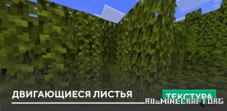    Minecraft PE 1.20