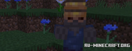 Скачать Некромантское расширение для Minecraft PE 1.20