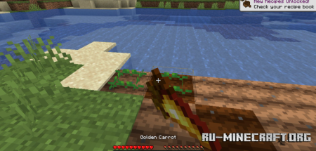  Golden Crops  Minecraft 1.20.6
