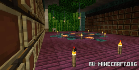  Big Vanilla Tpoc Plays House  Minecraft