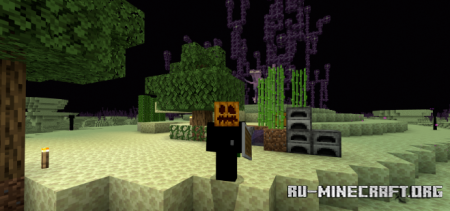       Minecraft PE