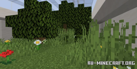  Find the Button by leandrov  Minecraft