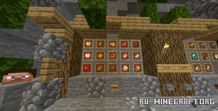 Скачать Quax для Minecraft PE 1.20