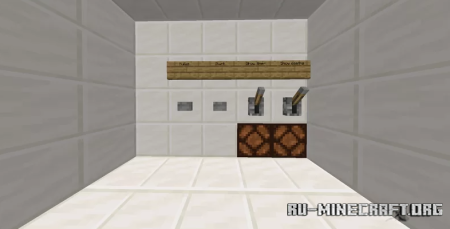  This is the only level  Minecraft
