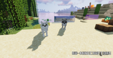  Wild Wolves  Minecraft 1.20