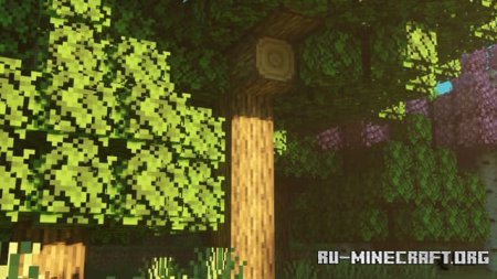 Скачать Обновление Деревьев для Minecraft PE 1.20