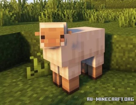   ,     Minecraft PE 1.21