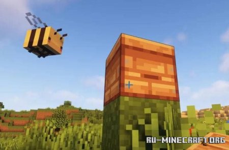   ,     Minecraft PE 1.21