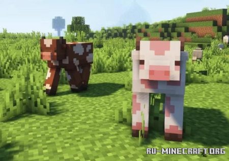   ,     Minecraft PE 1.21