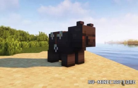   ,     Minecraft PE 1.21