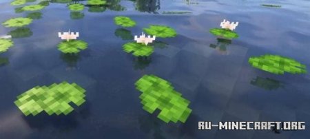   ,     Minecraft PE 1.21