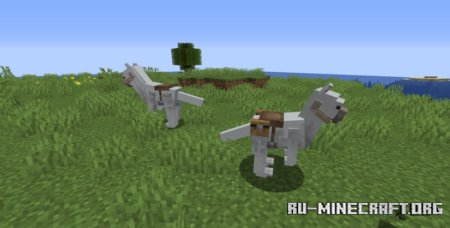  Star Wars Creatures  Minecraft 1.21