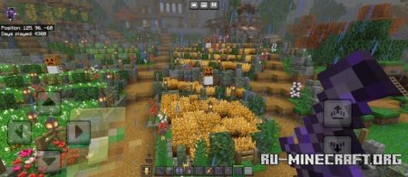     Minecraft PE 1.21
