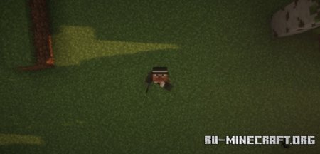 Скачать Hide Arrows для Minecraft 1.21.4
