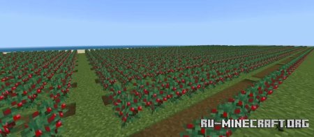 Скачать Farm Island by Haysnairef_Ohdir для Minecraft