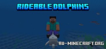      Minecraft PE 1.21