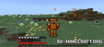     Minecraft PE 1.21