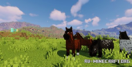 Скачать Better Horses для Minecraft 1.21.5