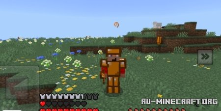     Minecraft PE 1.21