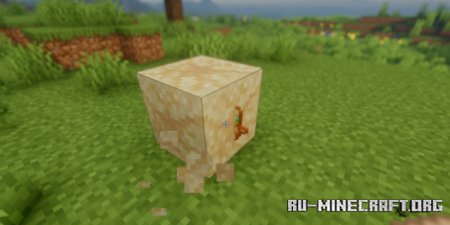  Custom Archeology  Minecraft 1.21.1