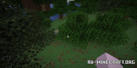  Central Crosshair  Minecraft 1.21.5