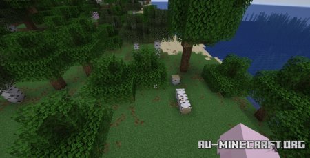  Central Crosshair  Minecraft 1.21.5