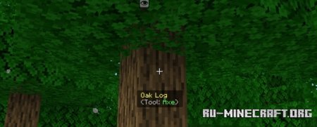       Minecraft PE 1.21