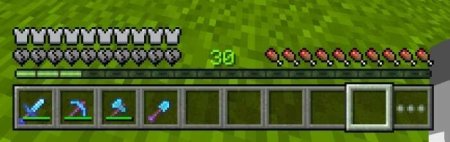      Minecraft PE 1.21