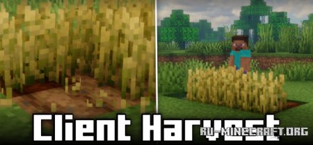  Client Harvest  Minecraft 1.21.5