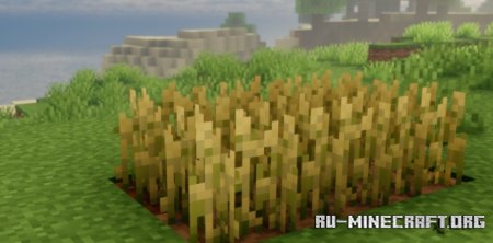 Client Harvest  Minecraft 1.21.5