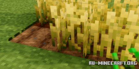  Client Harvest  Minecraft 1.21.5