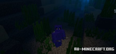     Minecraft PE 1.21