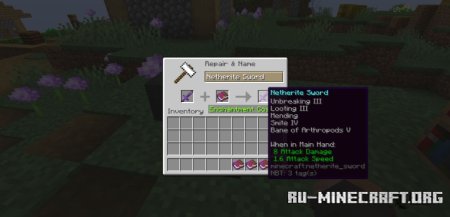 Expanded Weapon Enchanting  Minecraft 1.21.5