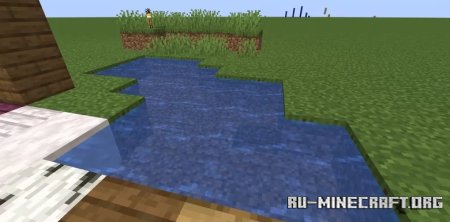 5     Minecraft