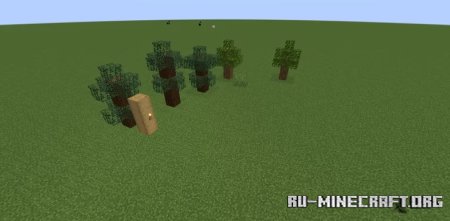  5     Minecraft