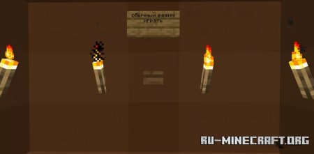  5     Minecraft