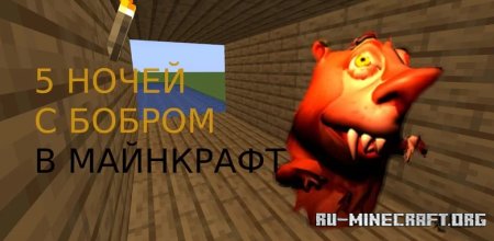  5     Minecraft