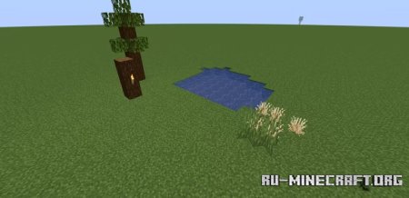  5     Minecraft