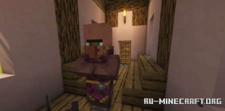  Villagers Respawn  Minecraft 1.21.5