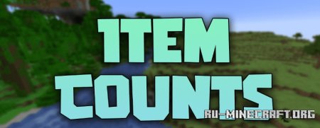 Item Counts  Minecraft 1.21.5