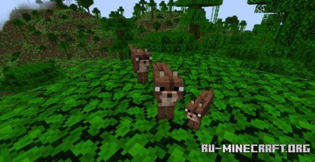  Caracal Mob  Minecraft 1.20.4
