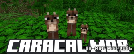  Caracal Mob  Minecraft 1.20.4